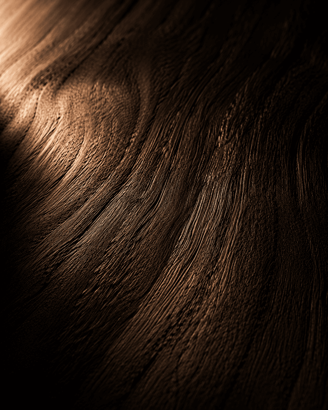 Rich Walnut