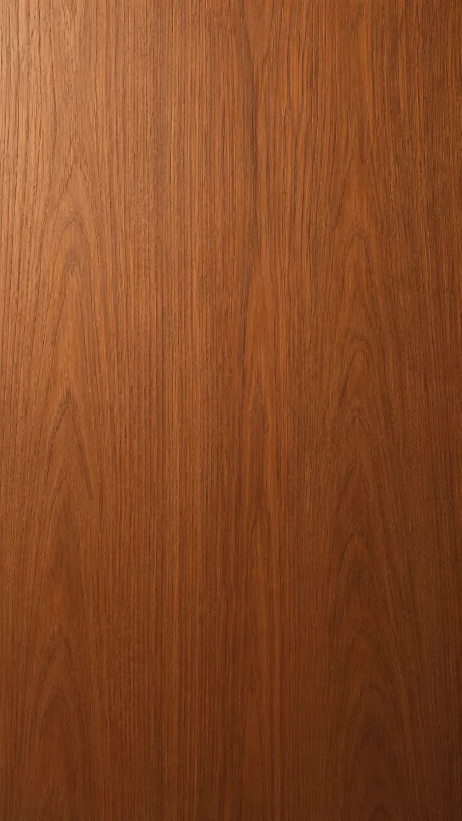 Cinnamon