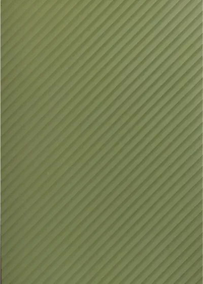Lotus AA 198 main