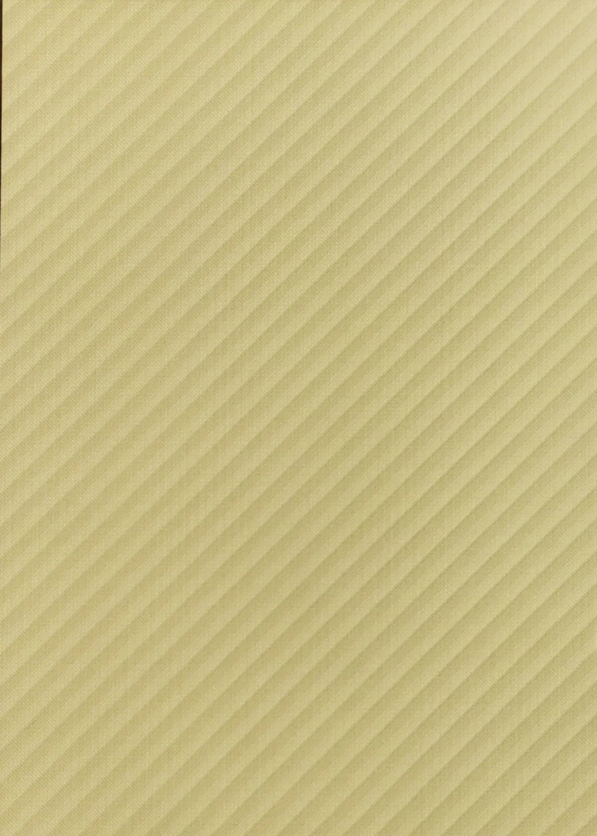 Lotus SPL 2005 main