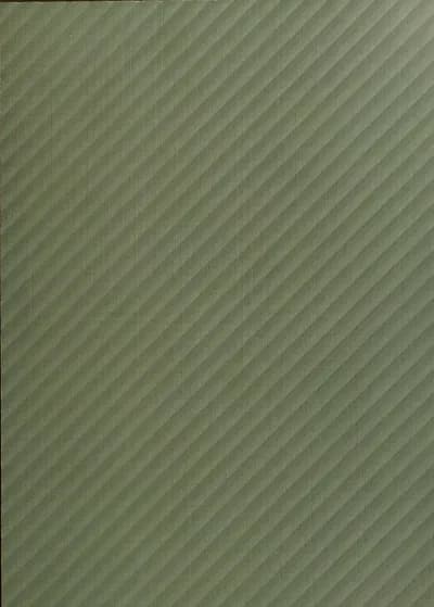 Lotus SPL 2007 main
