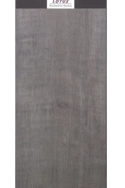 Springoo AA 109 main