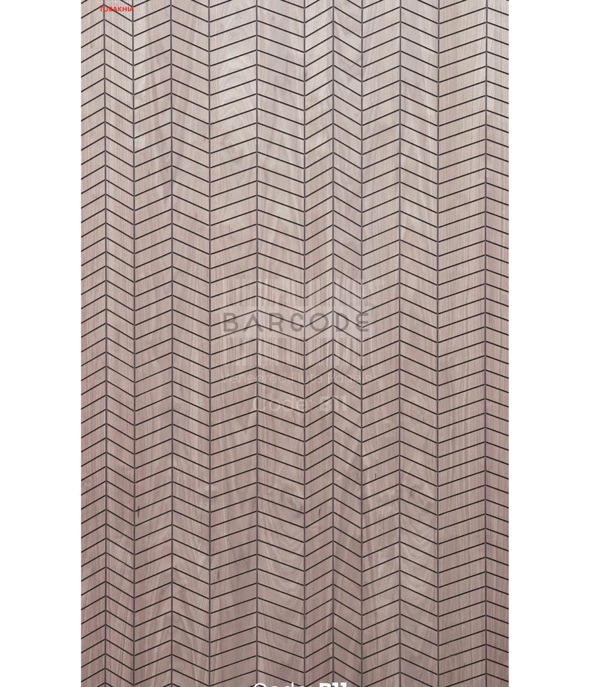 Barcode B11 main