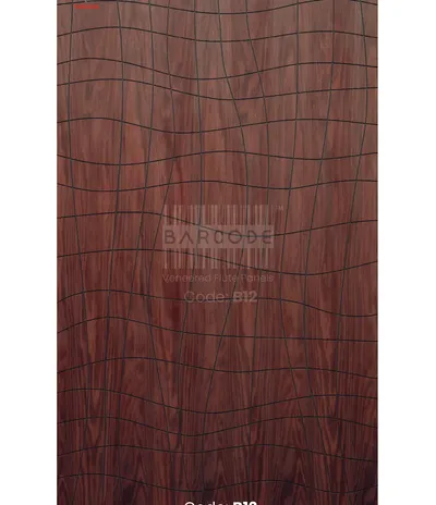 Barcode B12 main