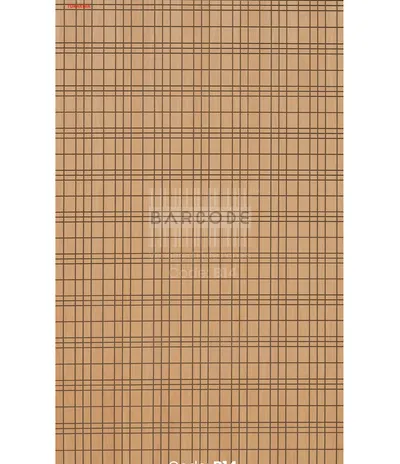 Barcode B14 main
