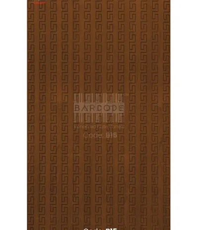 Barcode B15 main