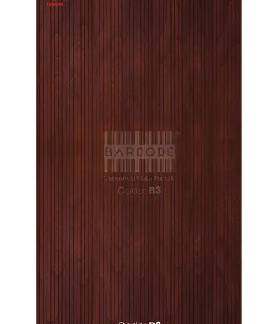 Barcode B3 main