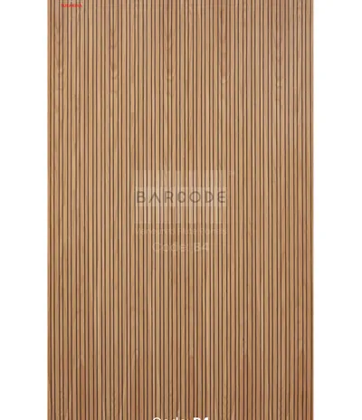 Barcode B4 main