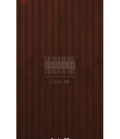 Barcode B6 main