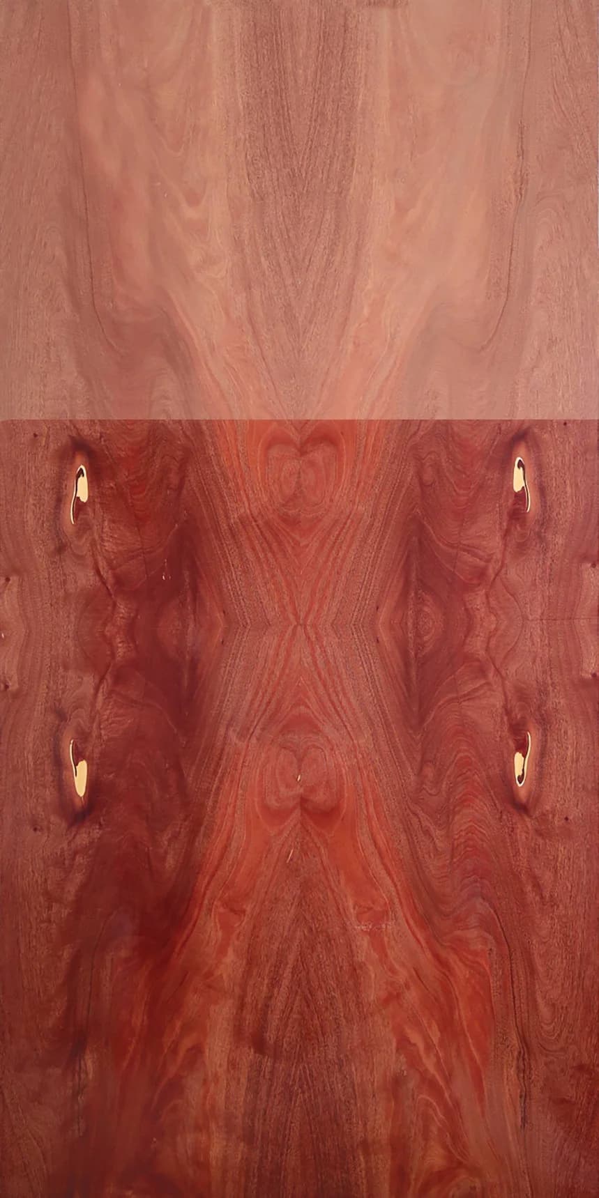 Mahogany Crotch main