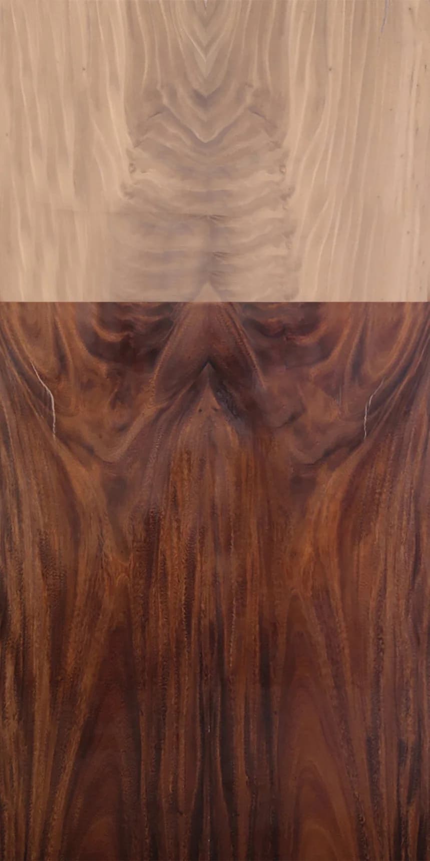 Raintree Crotch main