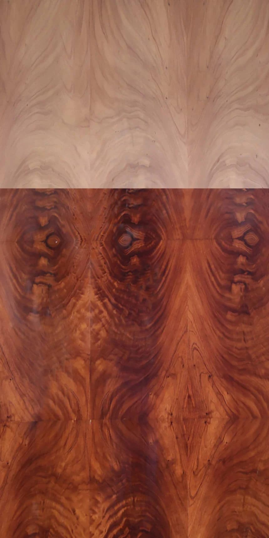 Redwood Crotch main