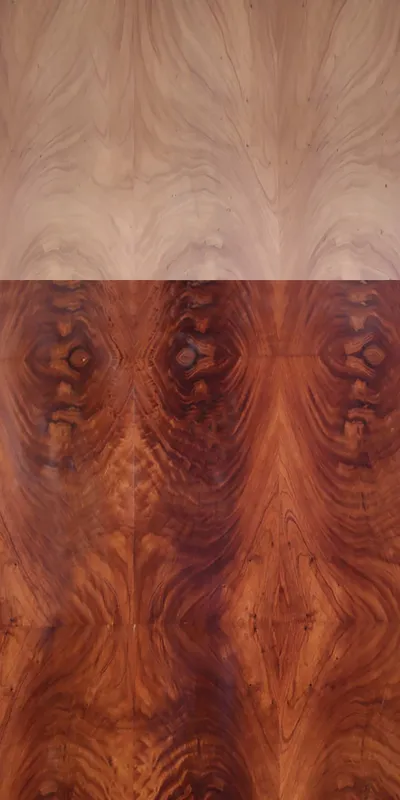 Redwood Crotch main