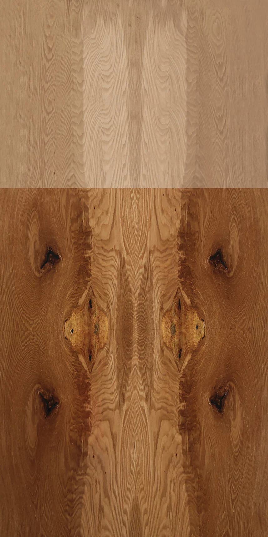 White Oak Crotch main