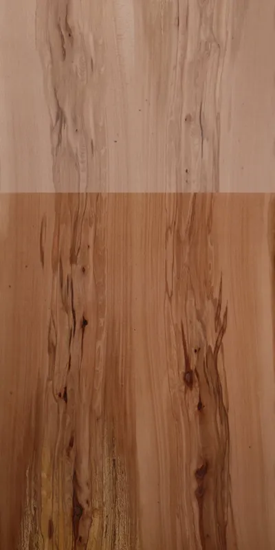 Spalted Beech main