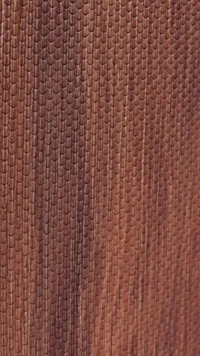 001 - Cocobolo main