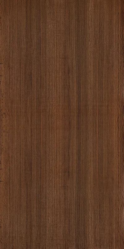 004 - Tan Oak main