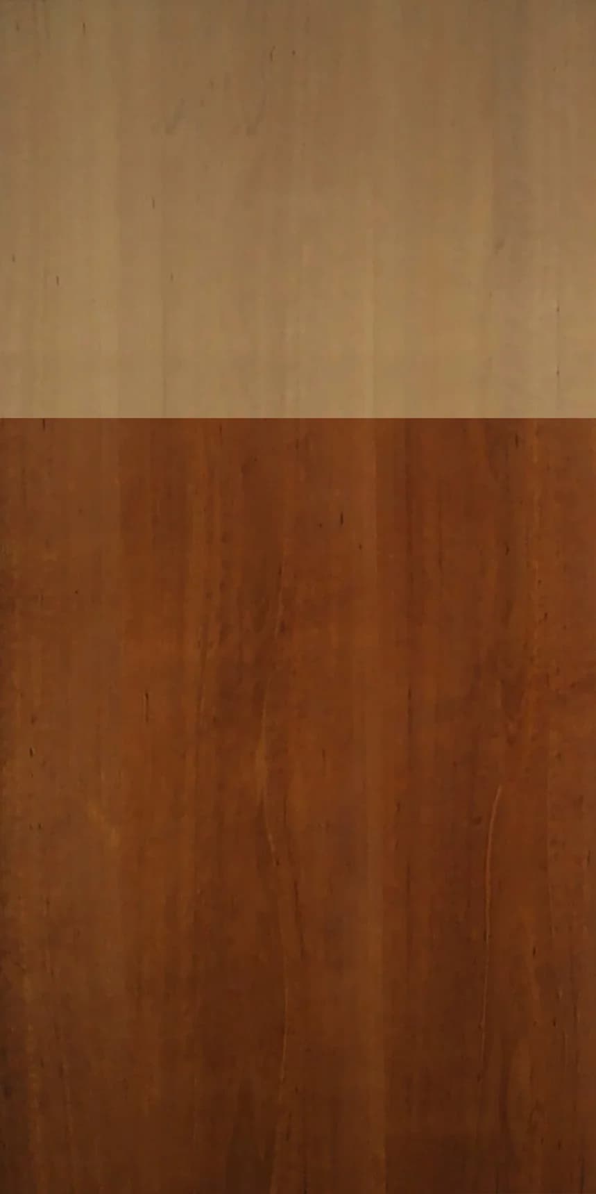 Robusta Panello main