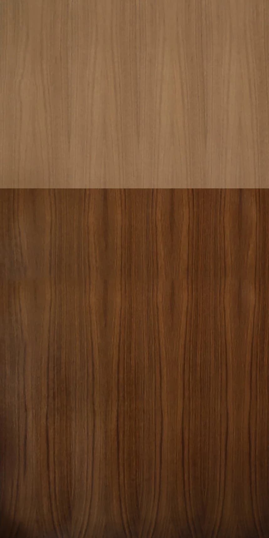Tan oak main