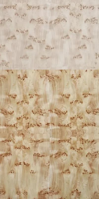 Poplar Burl main