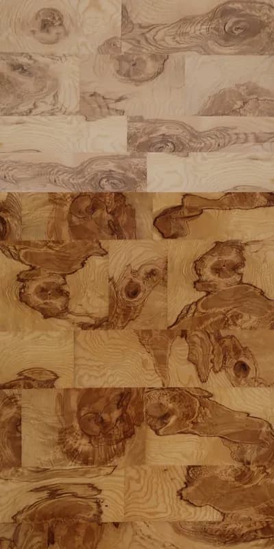 Stone Ash Burl main