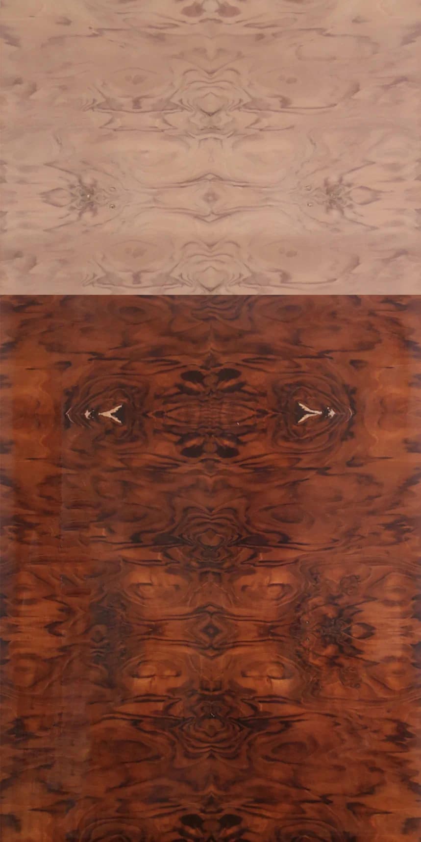 Walnut Burl main