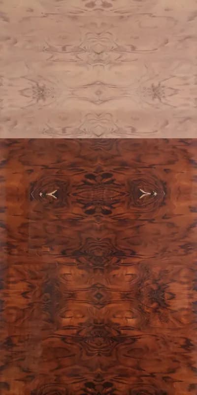 Walnut Burl main