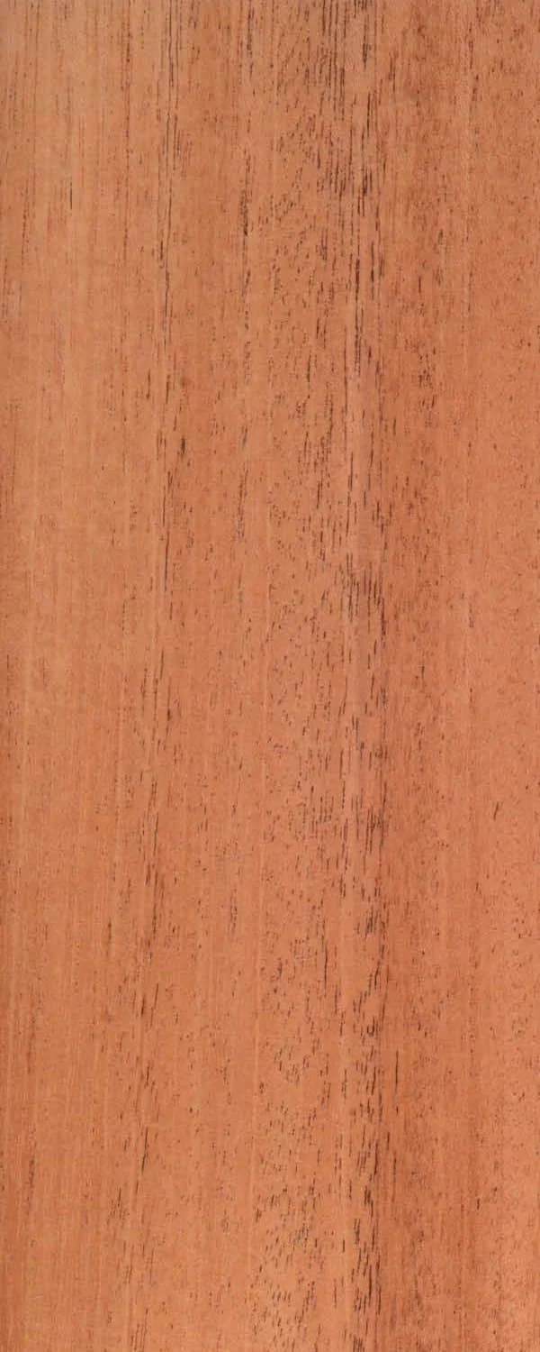 African Mahogany (FC4) main