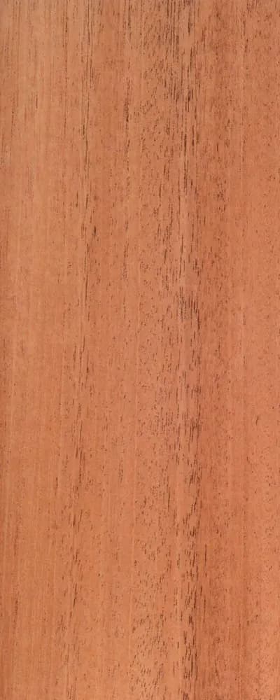 African Mahogany (FC4) main