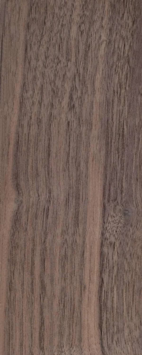 American Walnut (FC4) main