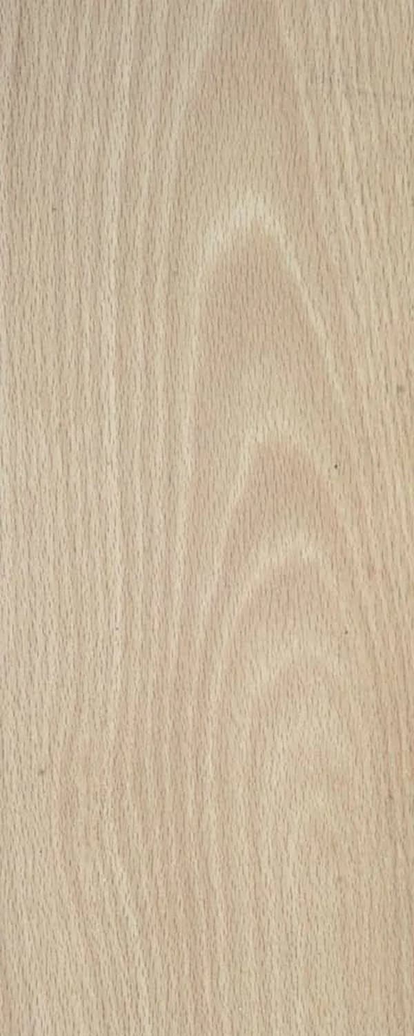 Beech (FC4) main