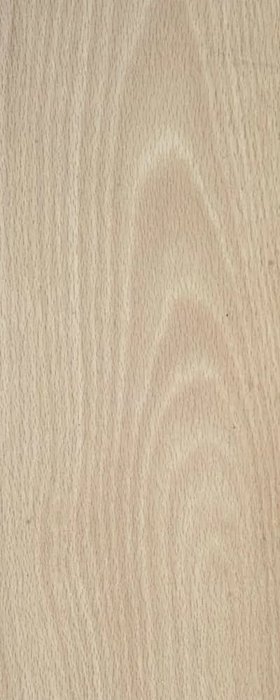Beech (FC4) main