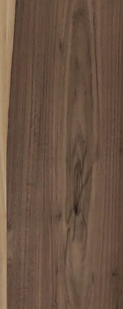 Bocote (FC4) main