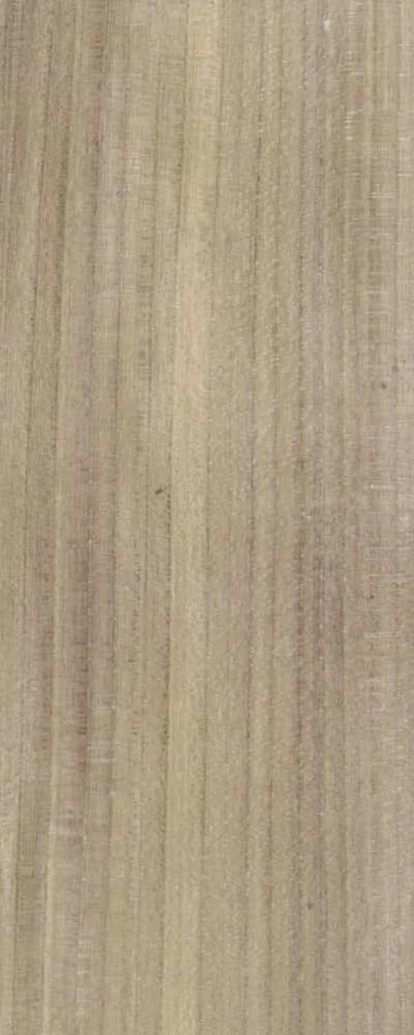 Bog Elm (FC4) main