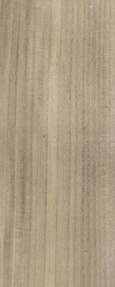 Bog Elm (FC4) main