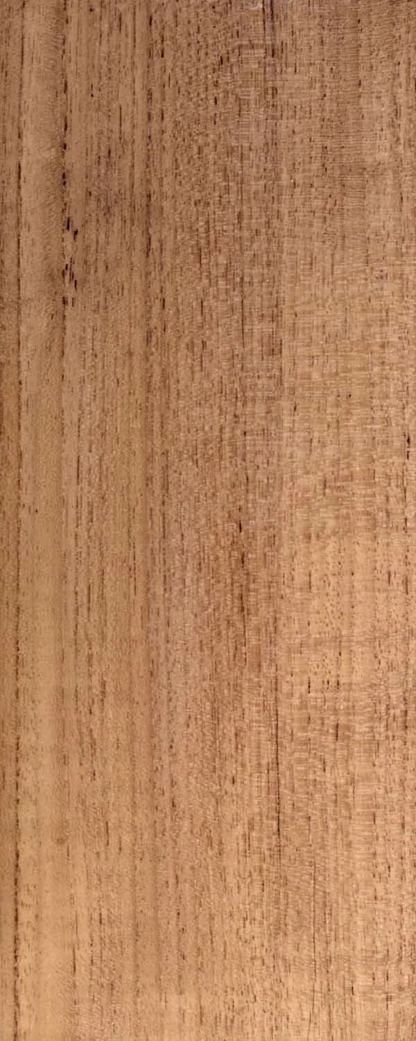 Burmese Teak (FC4) main