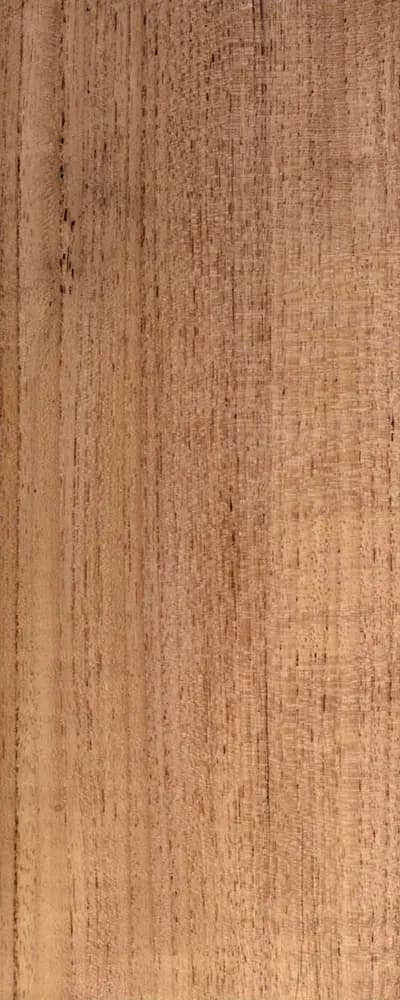 Burmese Teak (FC4) main