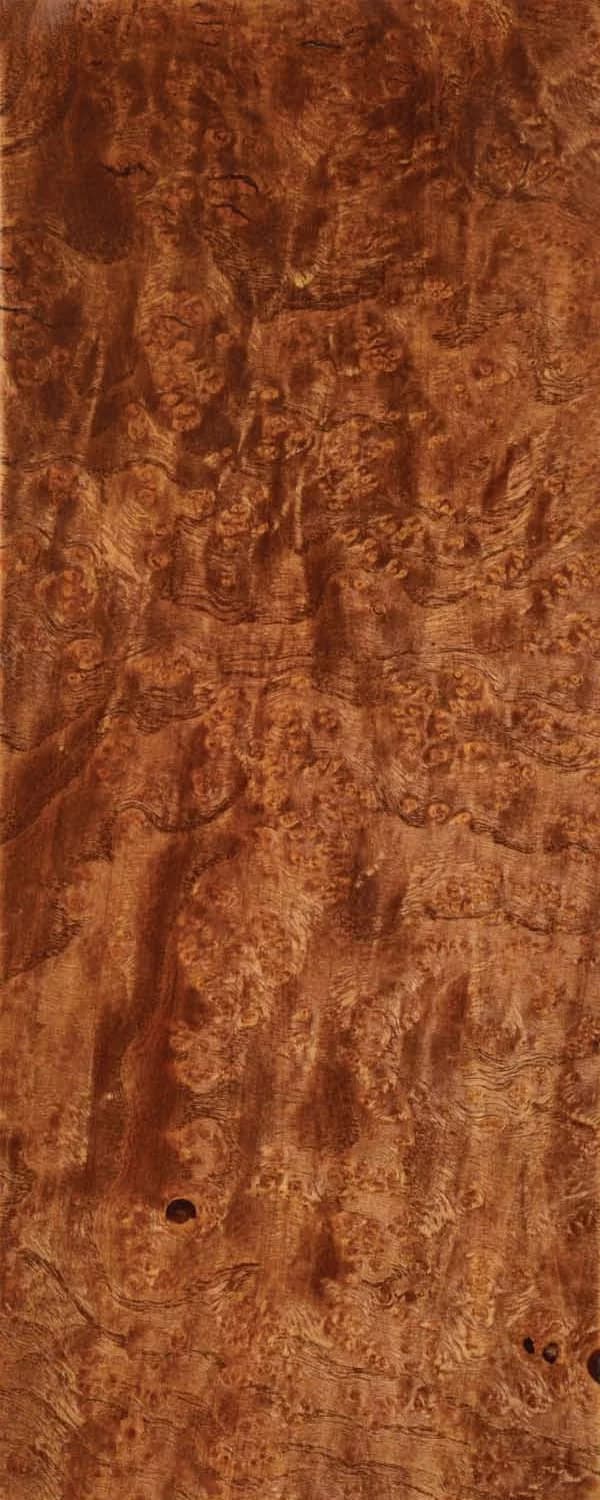 Choco Ash Burl (FC4) main
