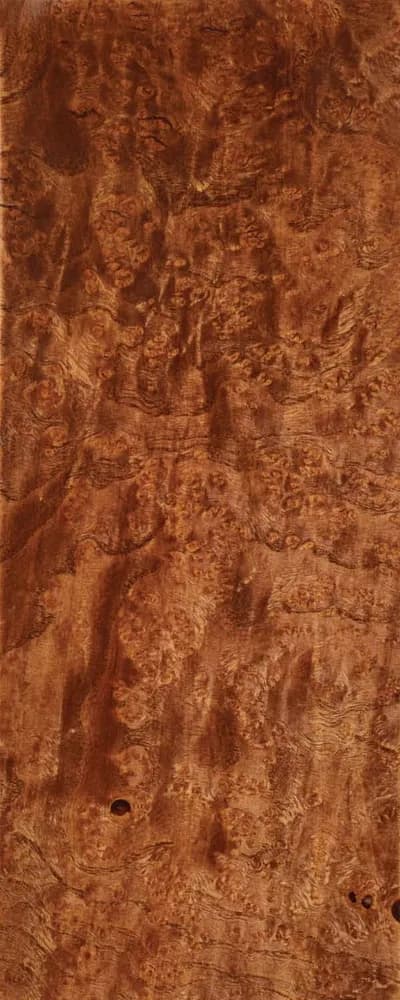 Choco Ash Burl (FC4) main