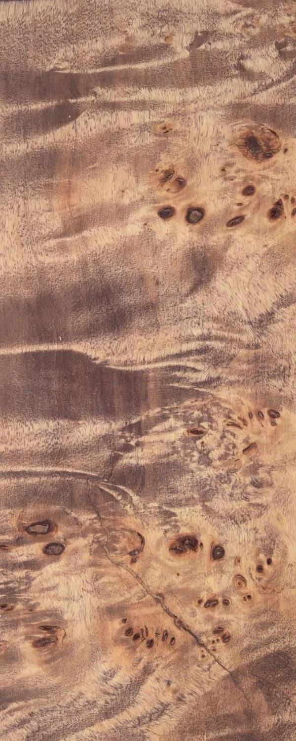 Choco Poplar Burl (FC4) main