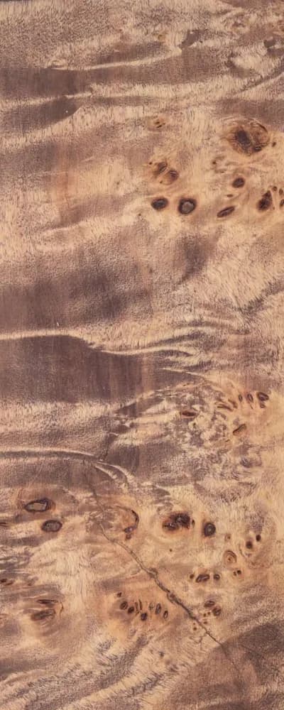 Choco Poplar Burl (FC4) main