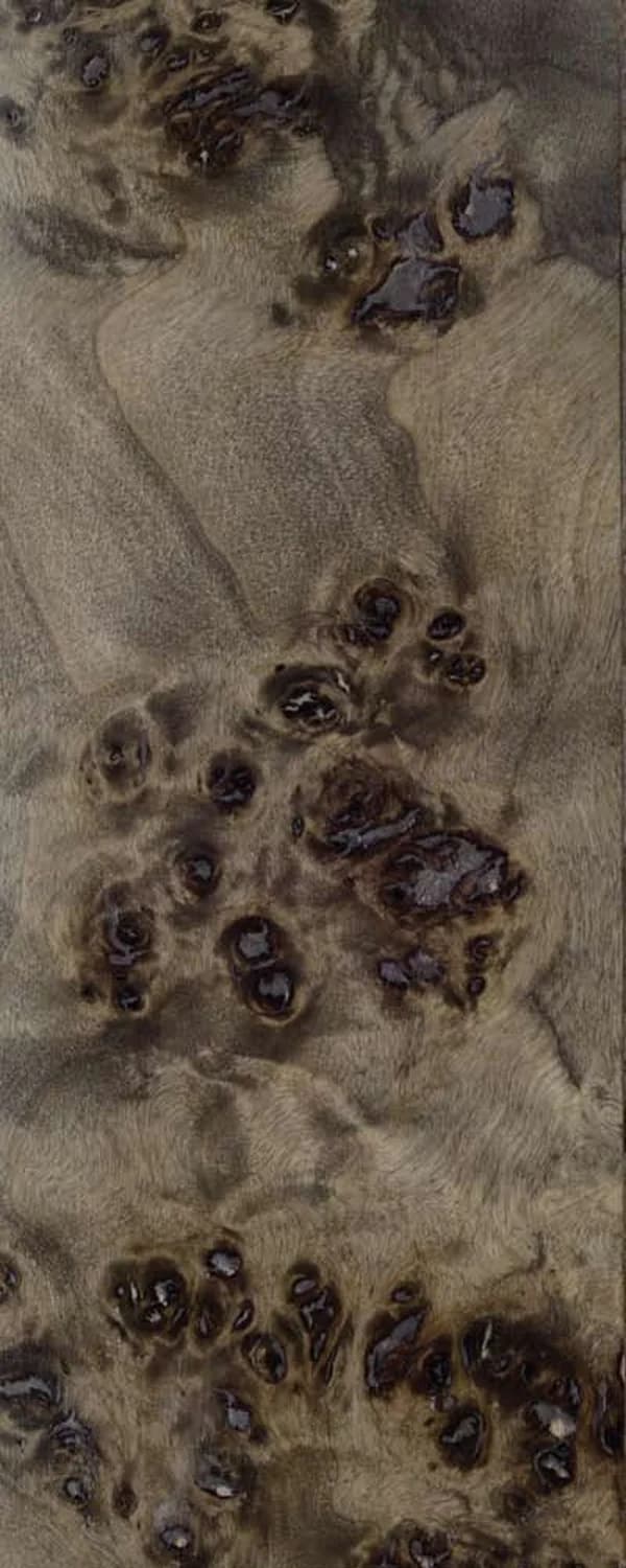 Cordia Burl (FC4) main