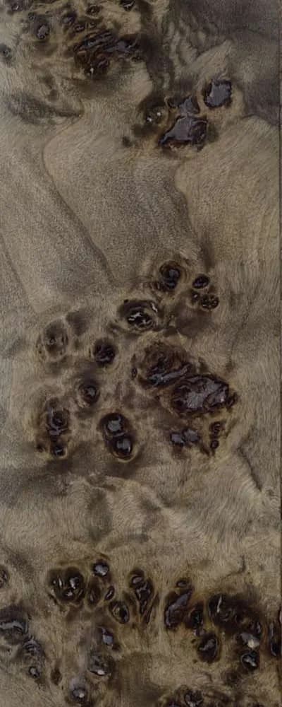 Cordia Burl (FC4) main