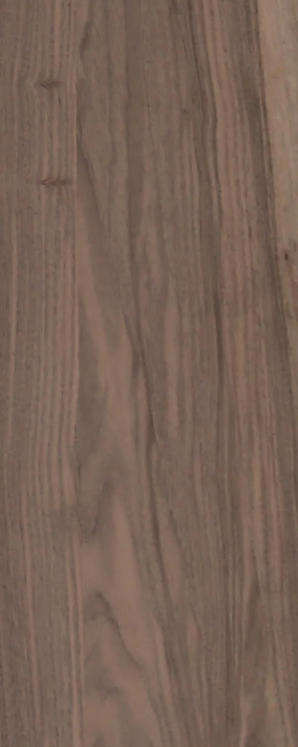 European Walnut (FC4) main