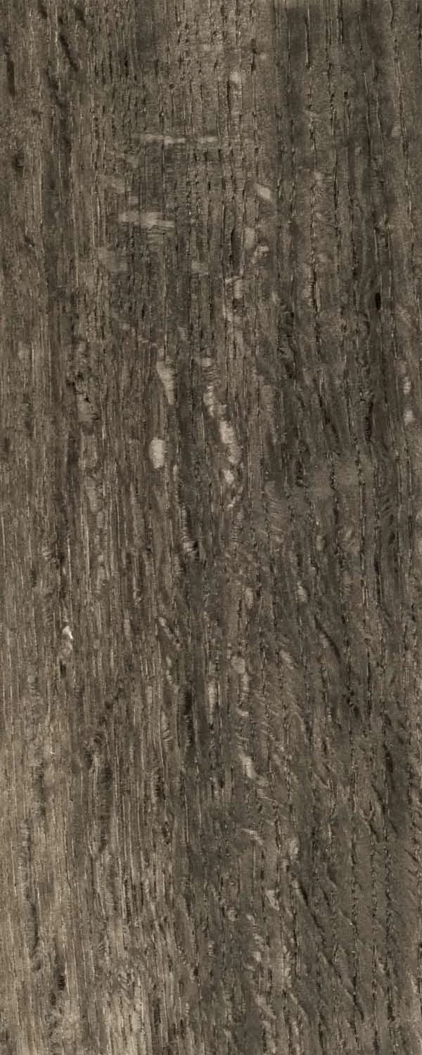 Exotic Ebony Oak (FC4) main