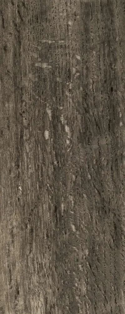 Exotic Ebony Oak (FC4) main