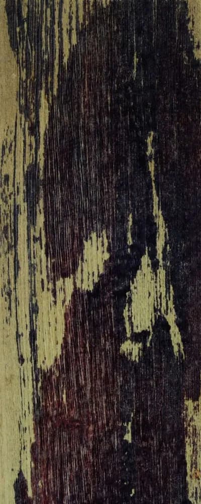 Faded Dyed Ash (FC4) main