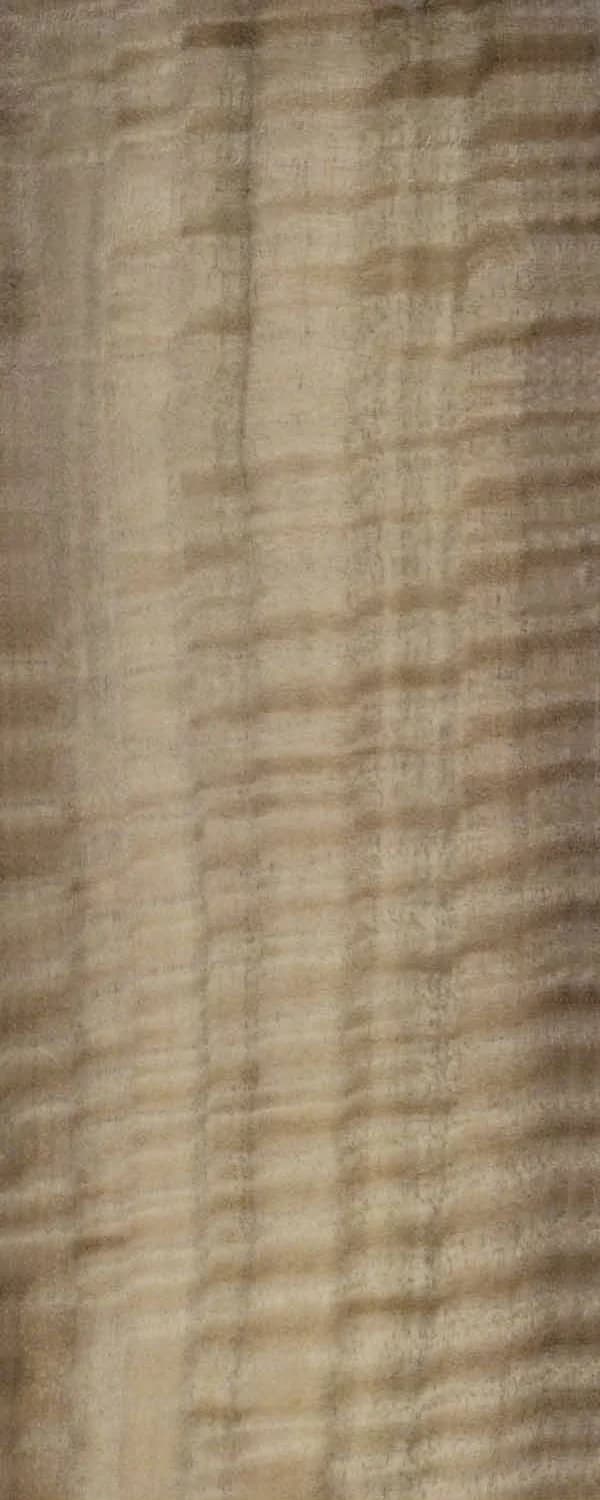 Golden Patternwood (FC4) main