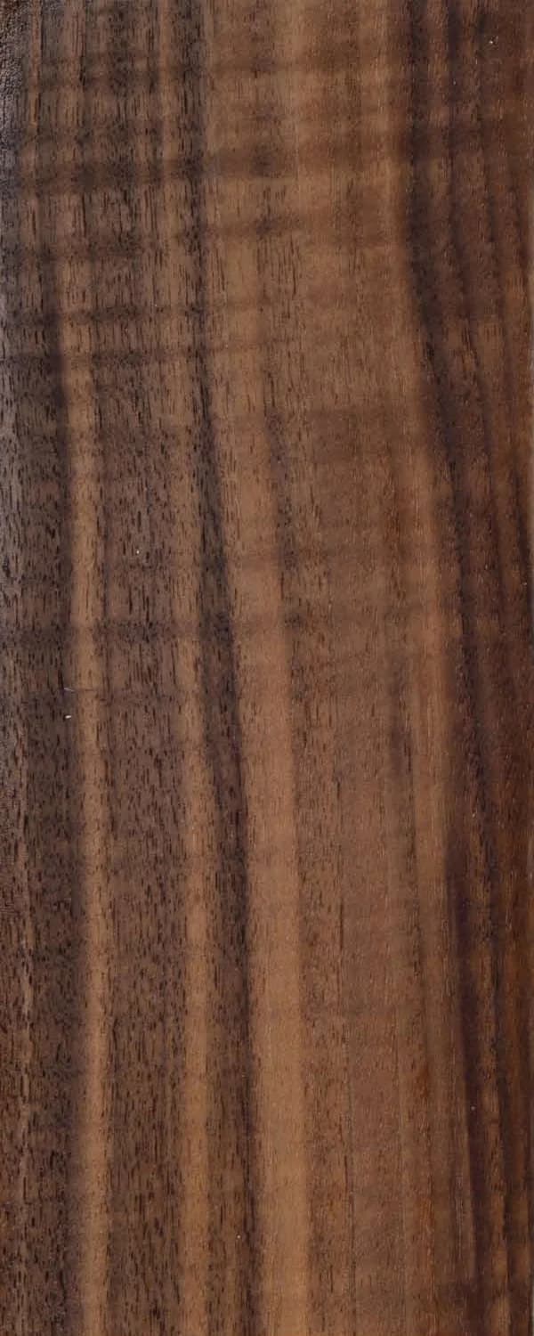 Indian Walnut (FC4) main