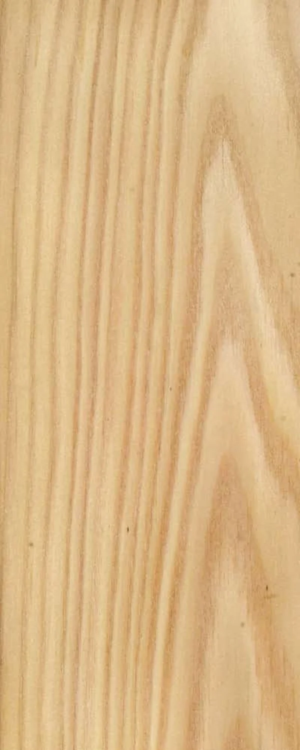 Larch (FC4) main